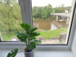 Images for Carmarthen, Carmarthenshire, Nantgaredig