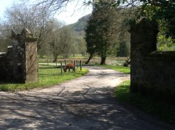 Images for Carmarthen, Carmarthenshire, Llanllawddog