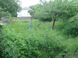 Images for Aberaeron, Ceredigion