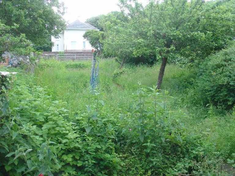 Images for Aberaeron, Ceredigion EAID:swift BID:0004-7720-8cbe-d305