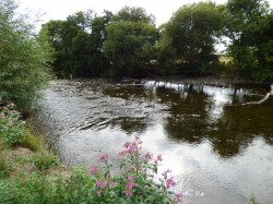 Images for Carmarthen, Carmarthenshire, Nantgaredig