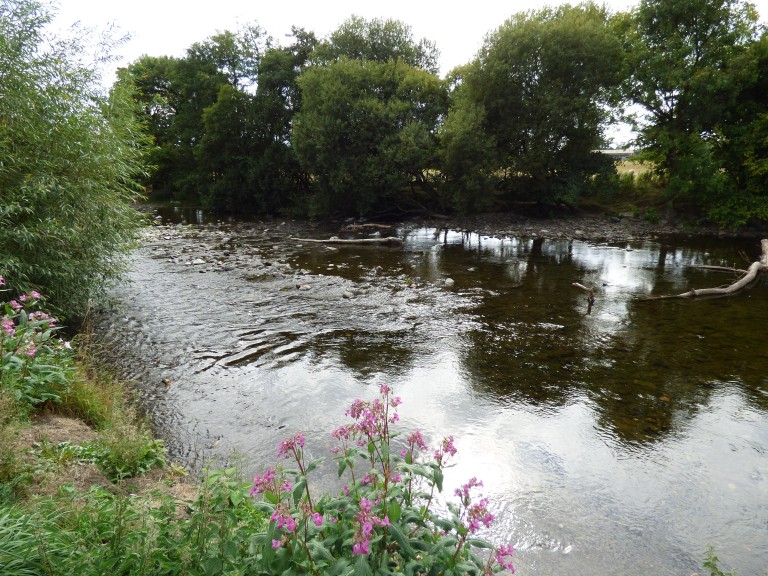 Images for Carmarthen, Carmarthenshire, Nantgaredig EAID:swift BID:0004-7720-8cbe-d305