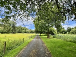 Images for Carmarthen, Carmarthenshire, Llanllawddog
